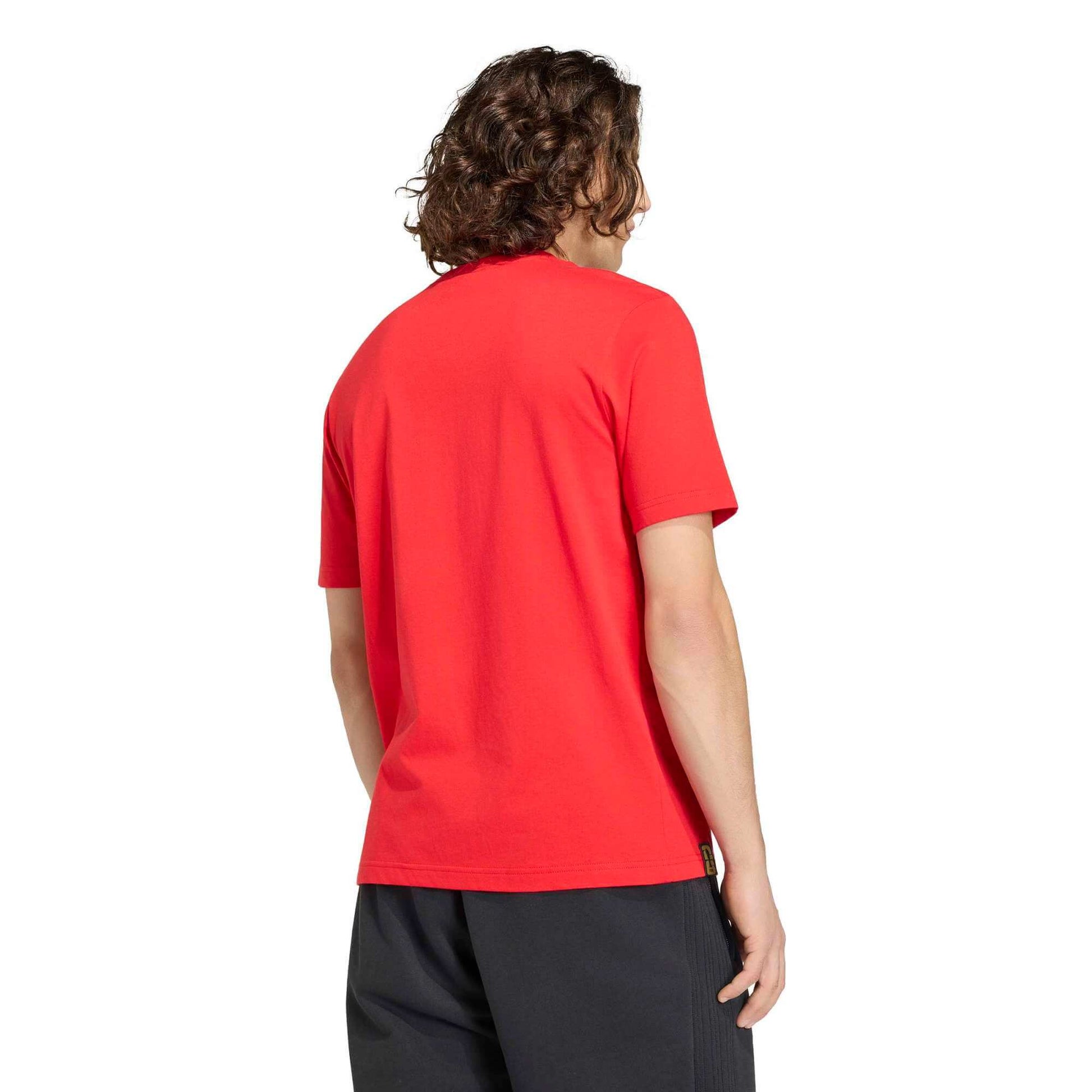 adidas 2026 Spain Men's Graphic Tee (Model - Back)