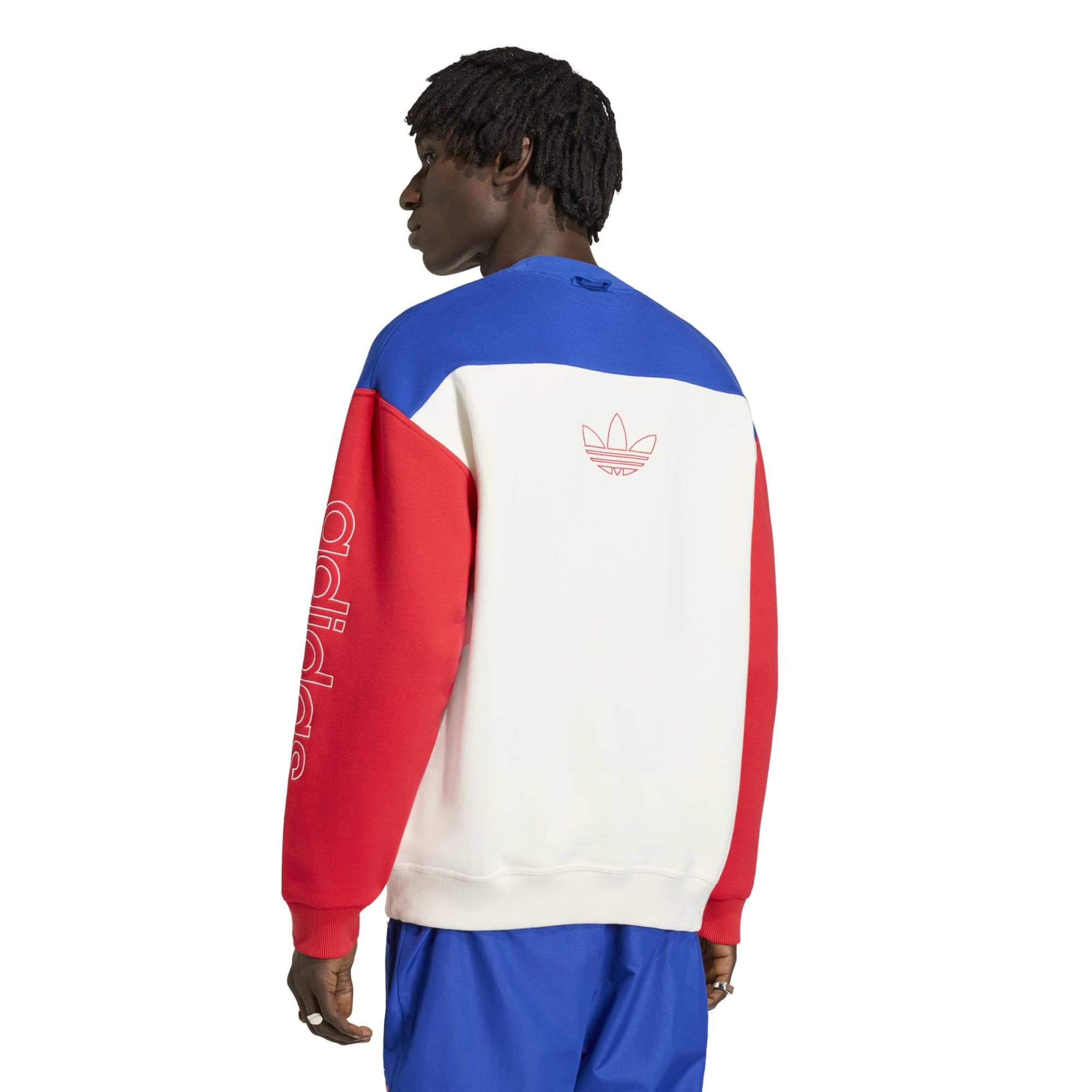 adidas 2026 USA Men's 94 Graphic Sweatshirt (Model - Back)