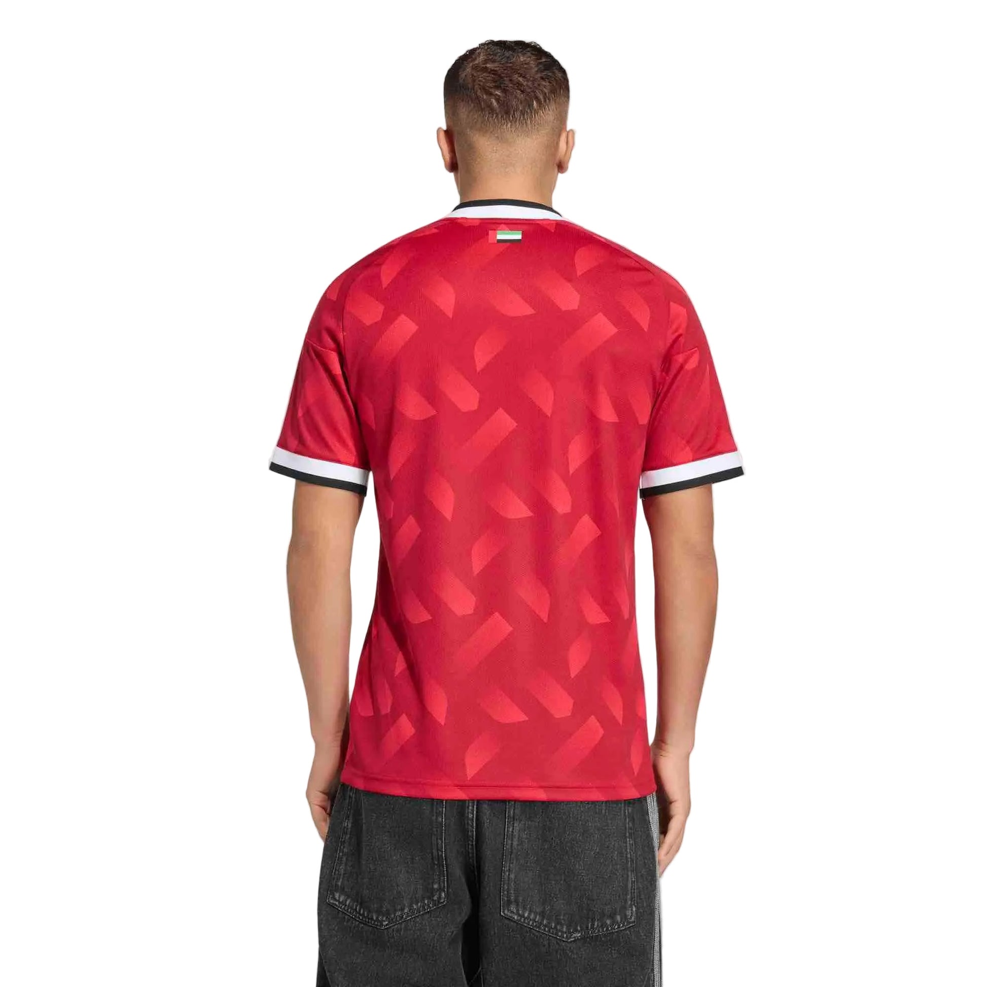 adidas 2026 United Arab Emirates Men's Stadium Away Soccer Jersey (Model - Back)