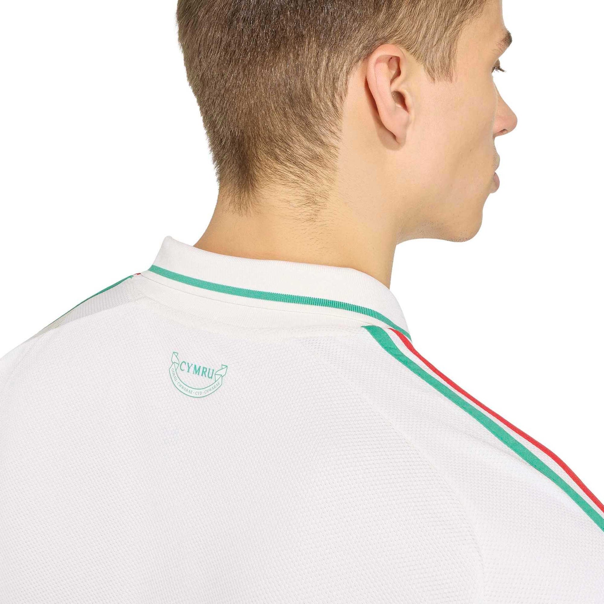 adidas 2026 Wales Men's Stadium Away Soccer Jersey (Detail 2)