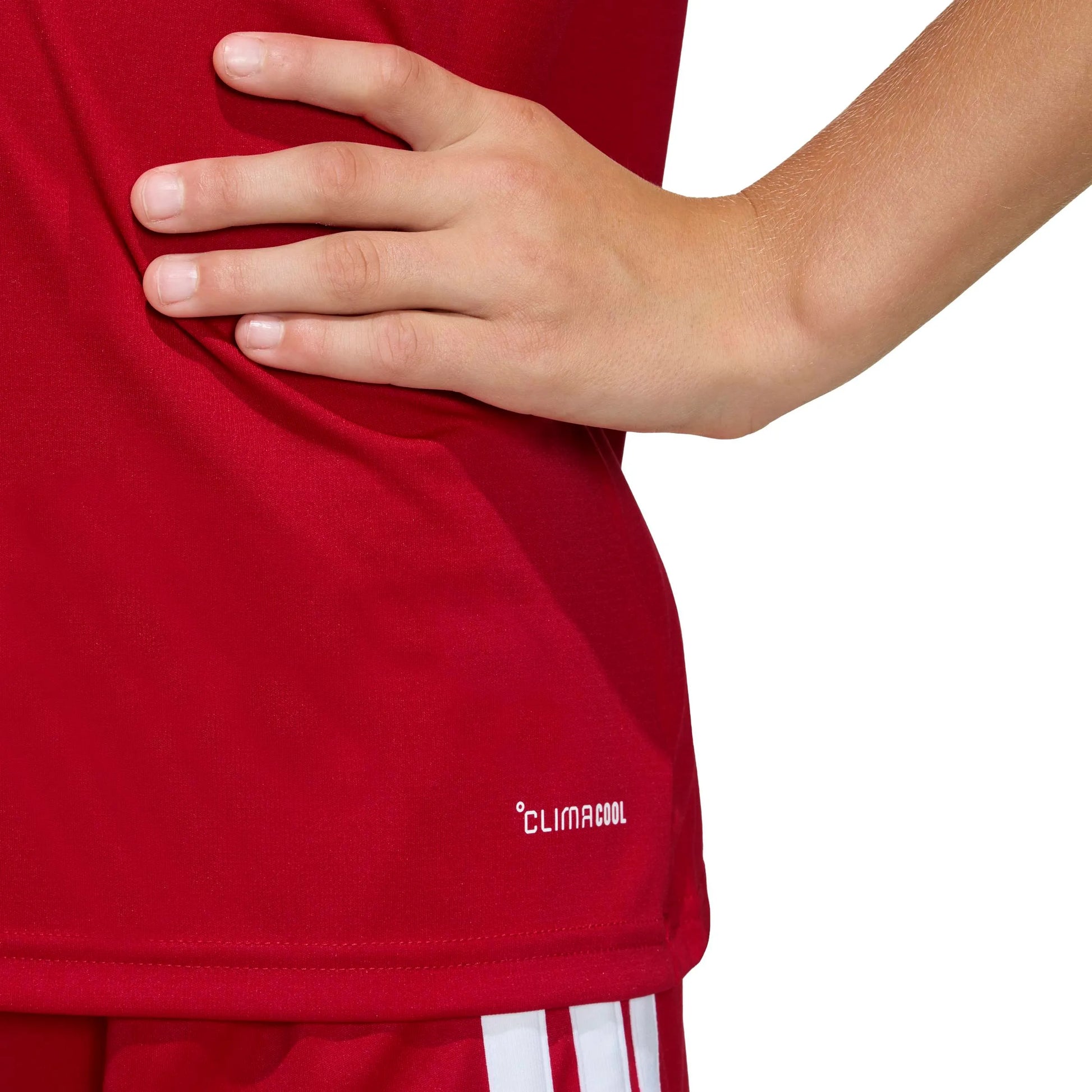 adidas 2026 Wales Youth Stadium Home Soccer Jersey (Detail 2)