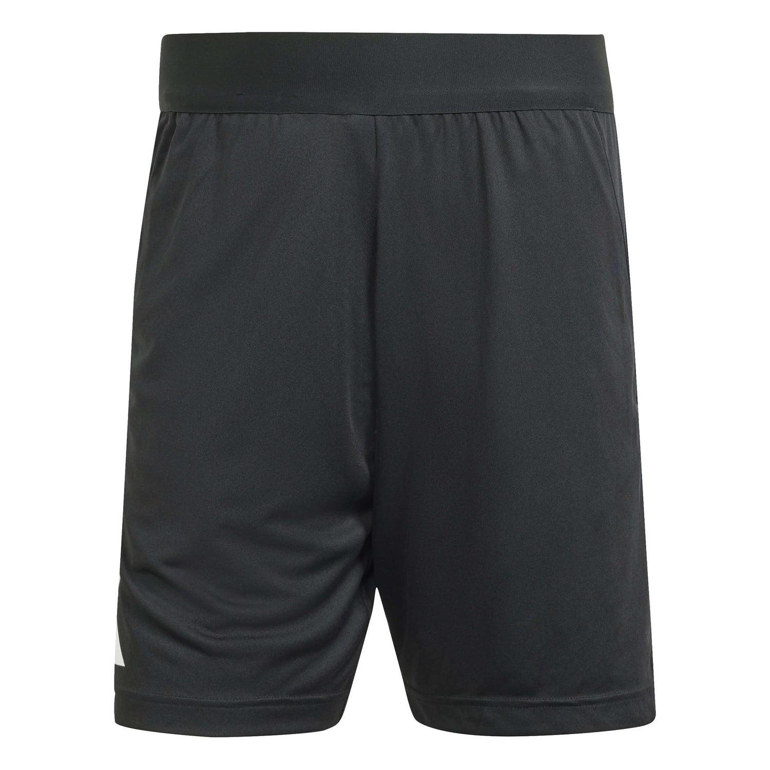 adidas Referee 24 Shorts (Front)