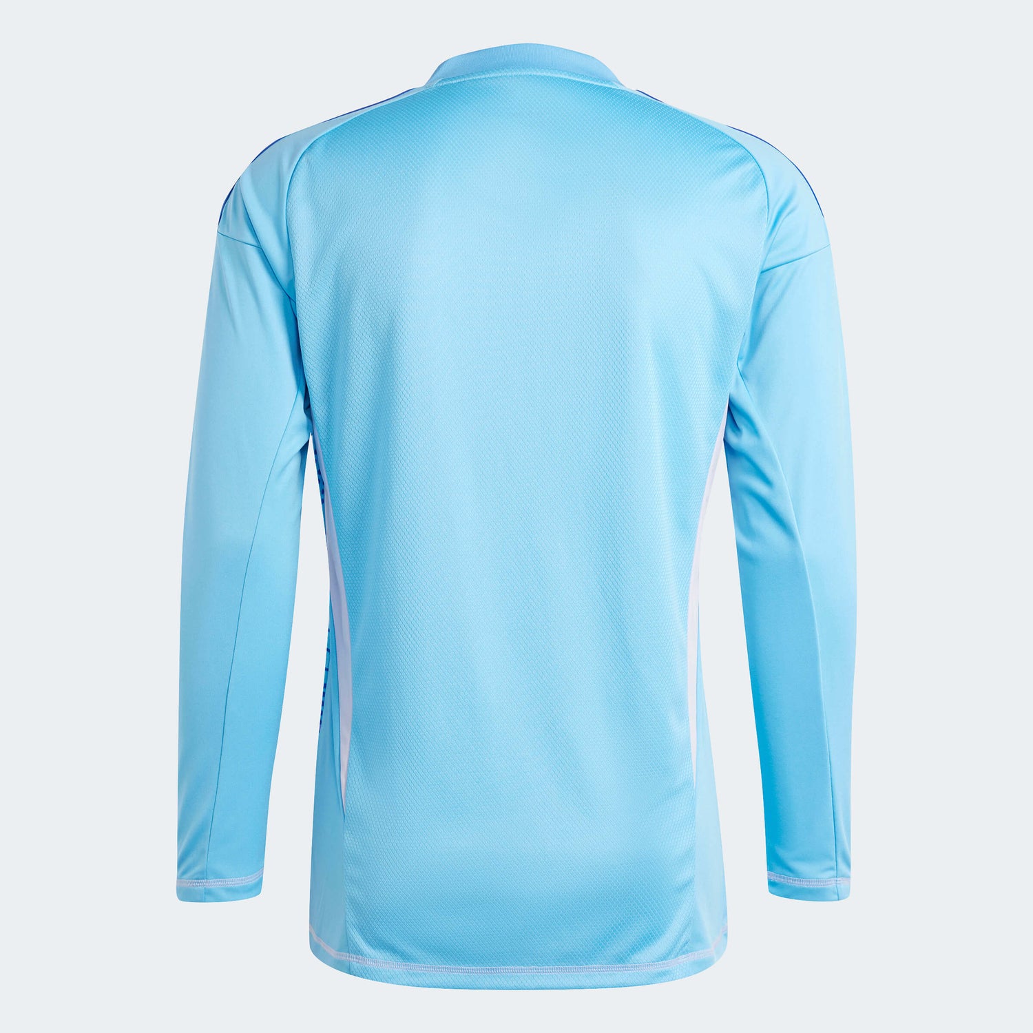 adidas T24 C Long-Sleeve Goalkeeper Jersey Semi Blue Burst (Back)
