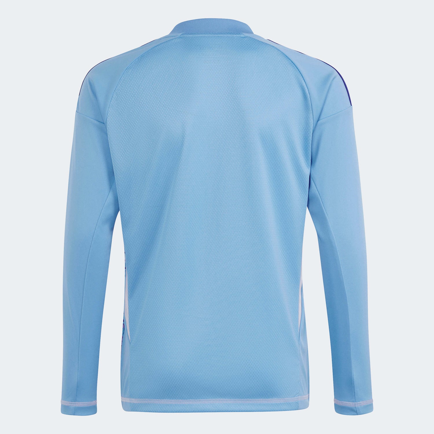 adidas T24 C Long-Sleeve Goalkeeper Youth Jersey Semi Blue Burst (Back)