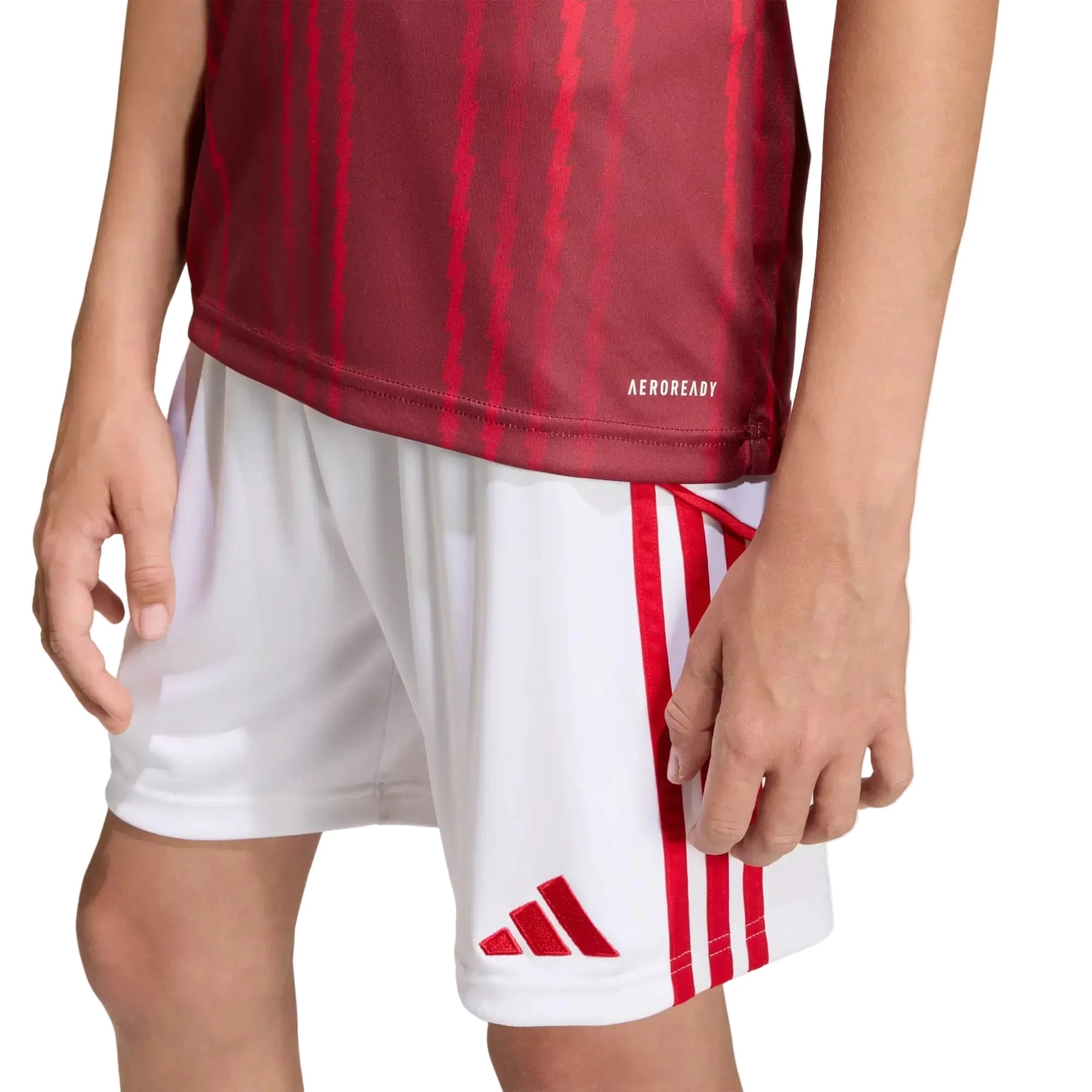 adidas 2025-26 Arsenal Youth Pre-Match Soccer Jersey Team Coll Burgundy 2 / Pure Ruby (Detail 2)