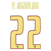 Club America 2020/21 Home P. Aguilar #22 Jersey Name Set