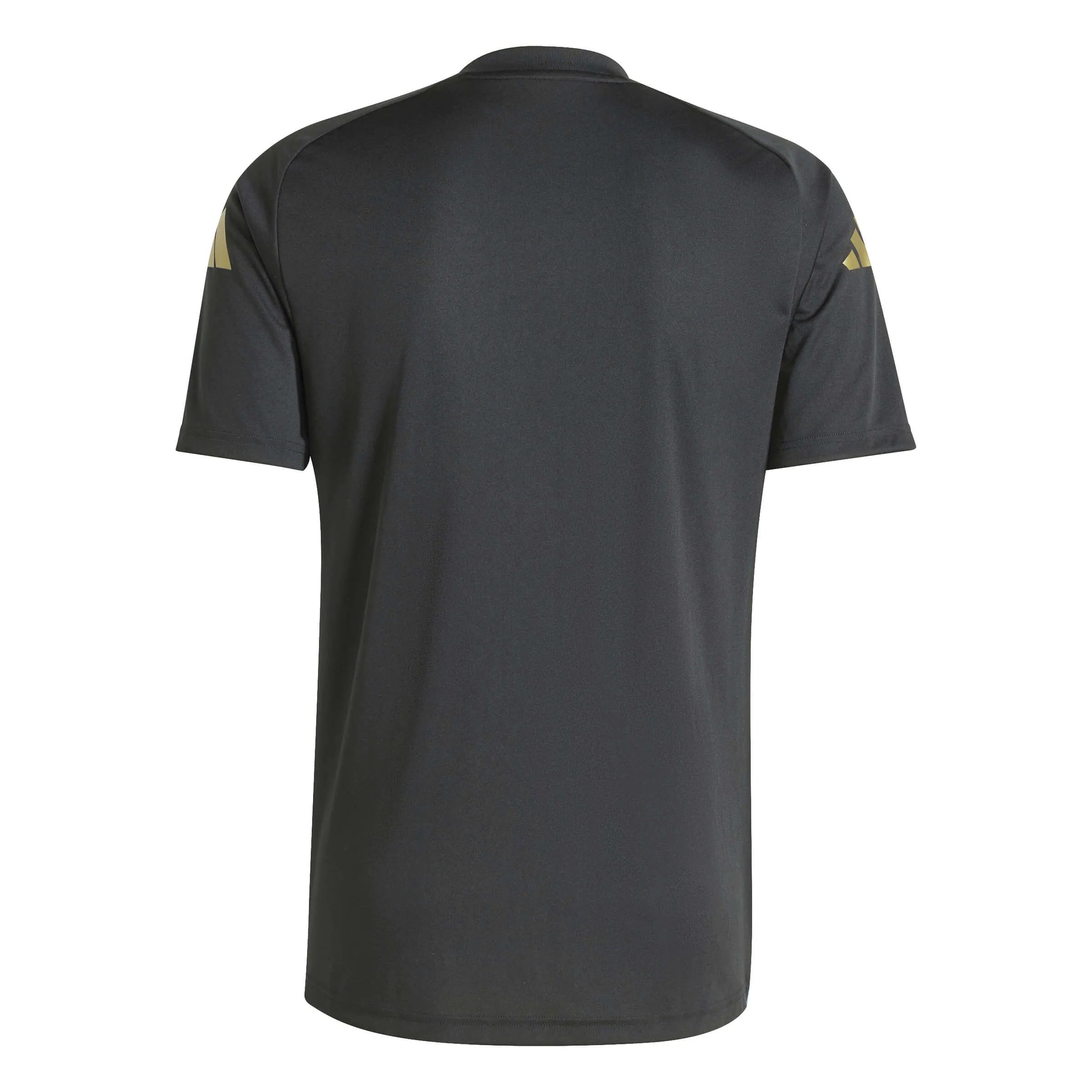 adidas 2024-25 Argentina Men's Pre-Match Jersey (Back)
