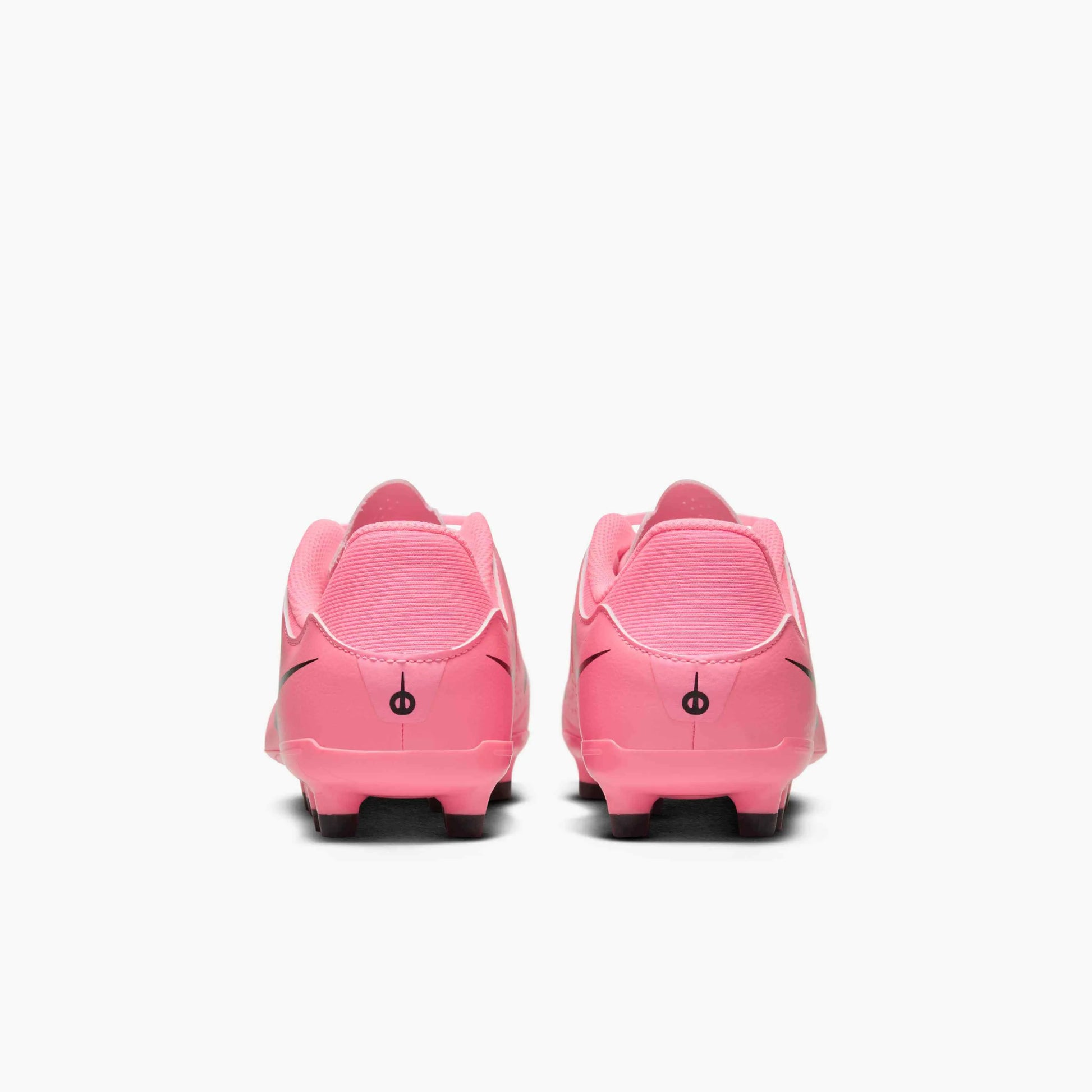 Nike JR Legend 10 Academy FG/MG - Mad Brilliance Pack (SU24) (Pair - Back)
