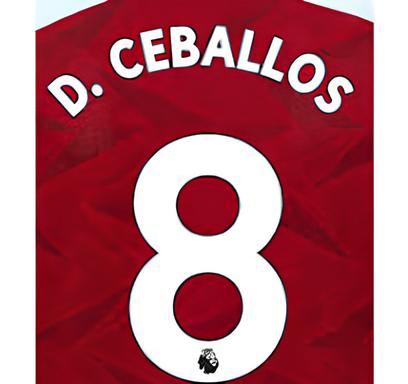 Arsenal 2019/22 Home D. Ceballos #8 Jersey Name Set