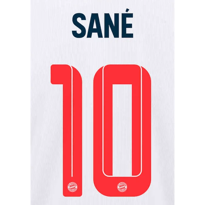 Bayern Munich 2021/22 Third Sane #10 Jersey Name Set