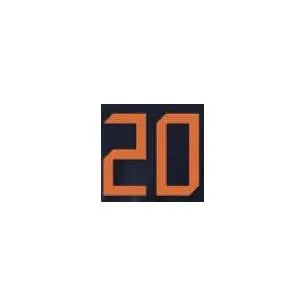 Holland 2020/21 Away Van De Beek #22 Jersey Name Set