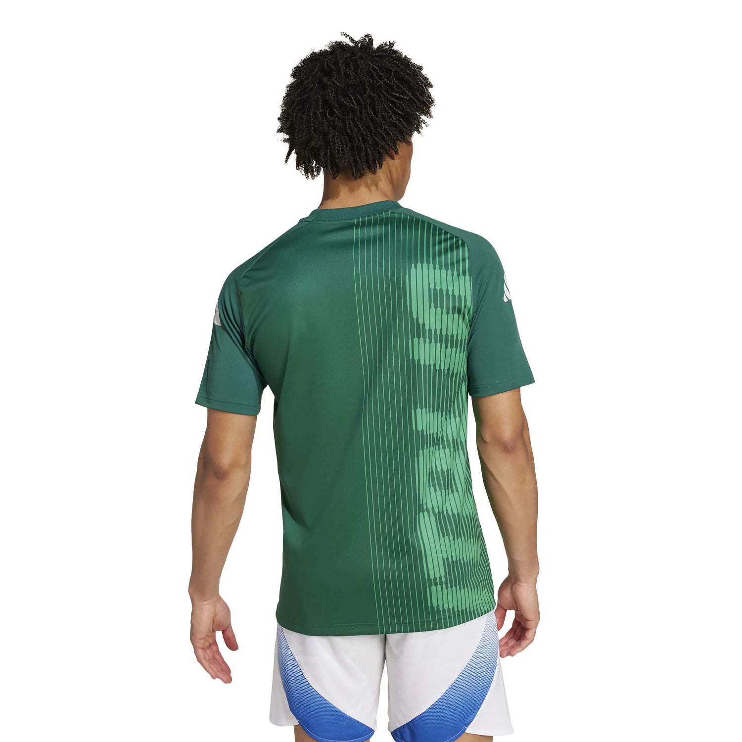 adidas 2024-25 Italy Men's Pre-Match Jersey (Model - Back)