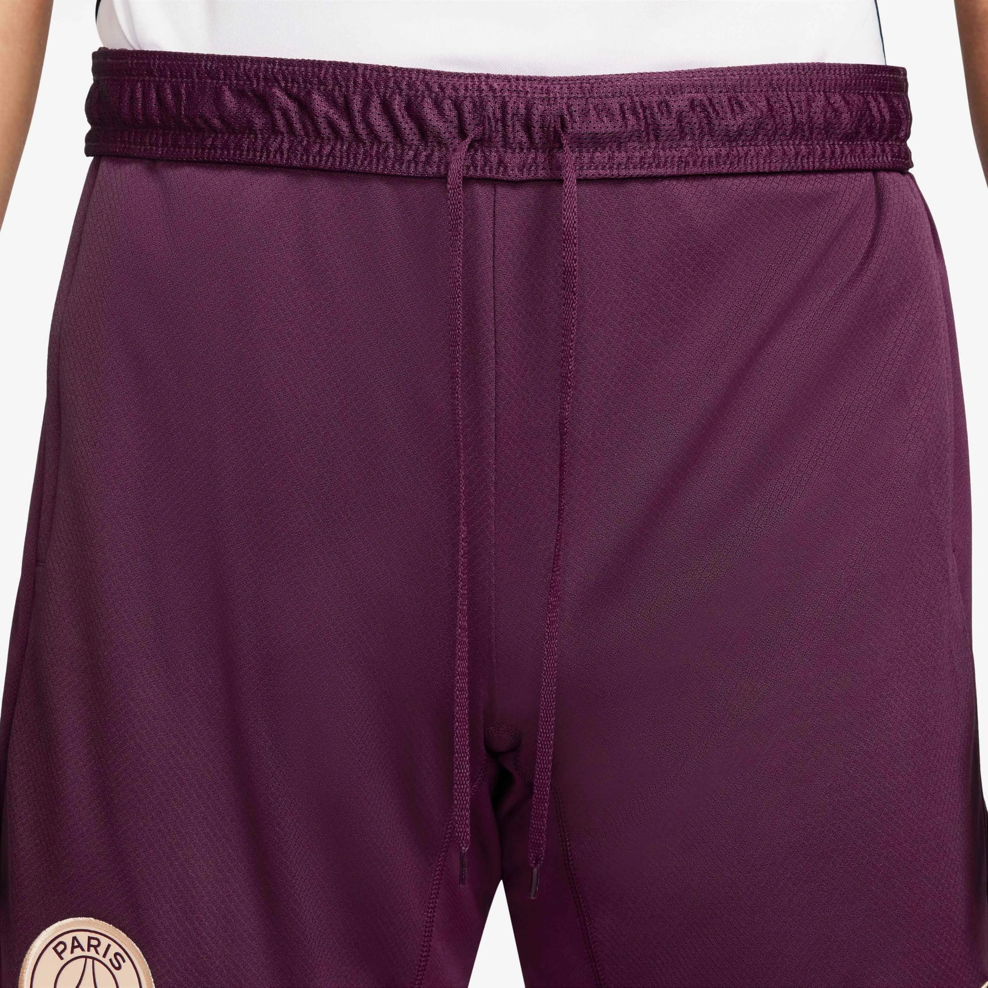 PSG 2024-25 Men's Strike Shorts (Detail 1)