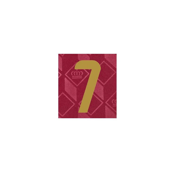 Belgium 2024/25 Home De Bruyne #7 Jersey Name Set