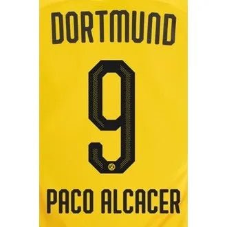 Borussia Dortmund 2019/20 Home Paco Alcacer #9 Jersey Name Set (Main)
