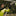 Storelli Gladiator Elite 3.0 with Spine Glove - Black-Yellow
