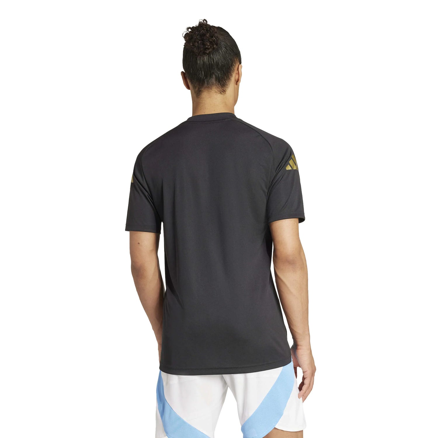 adidas 2024-25 Argentina Men's Pre-Match Jersey (Model - Back)