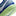 Nike Lunargato II IC - Blue-Volt