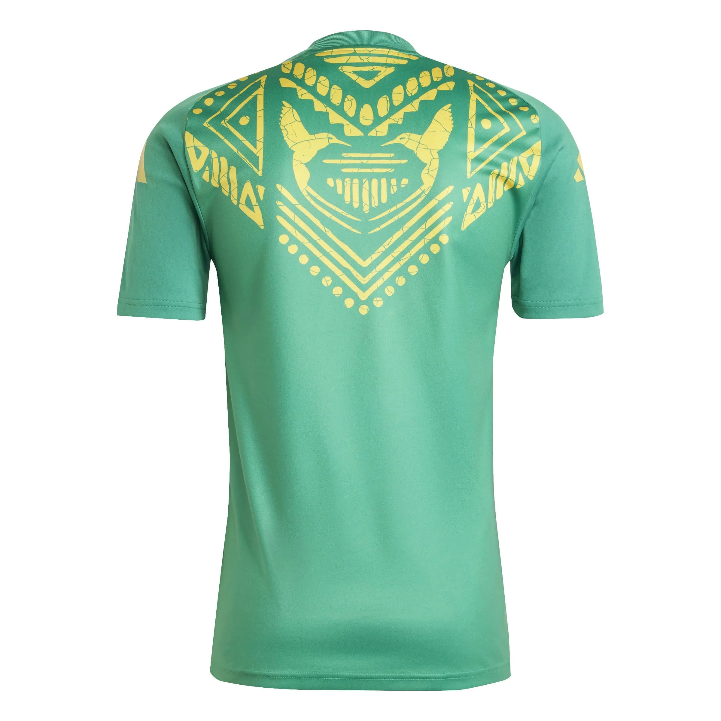 adidas 2024-25 Jamaica Men's Pre-Match Soccer Jersey