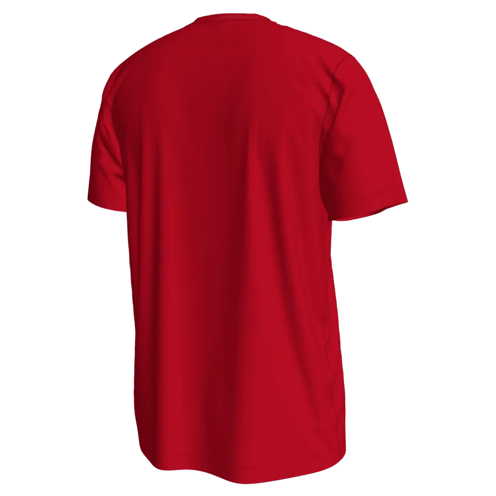 Nike 2022-23 Poland Crest WC22 Tee - Red (Back)
