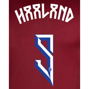Norway 2024/25 Home Haaland #9 Jersey Name Set