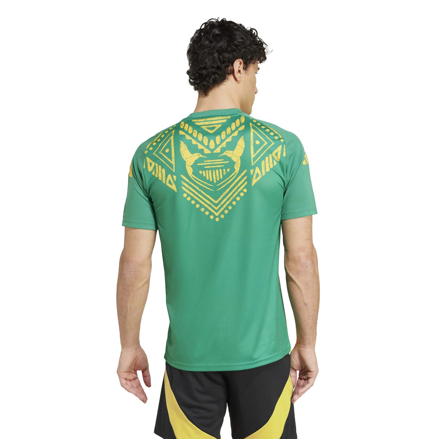 adidas 2024-25 Jamaica Men's Pre-Match Jersey (Model - Back)
