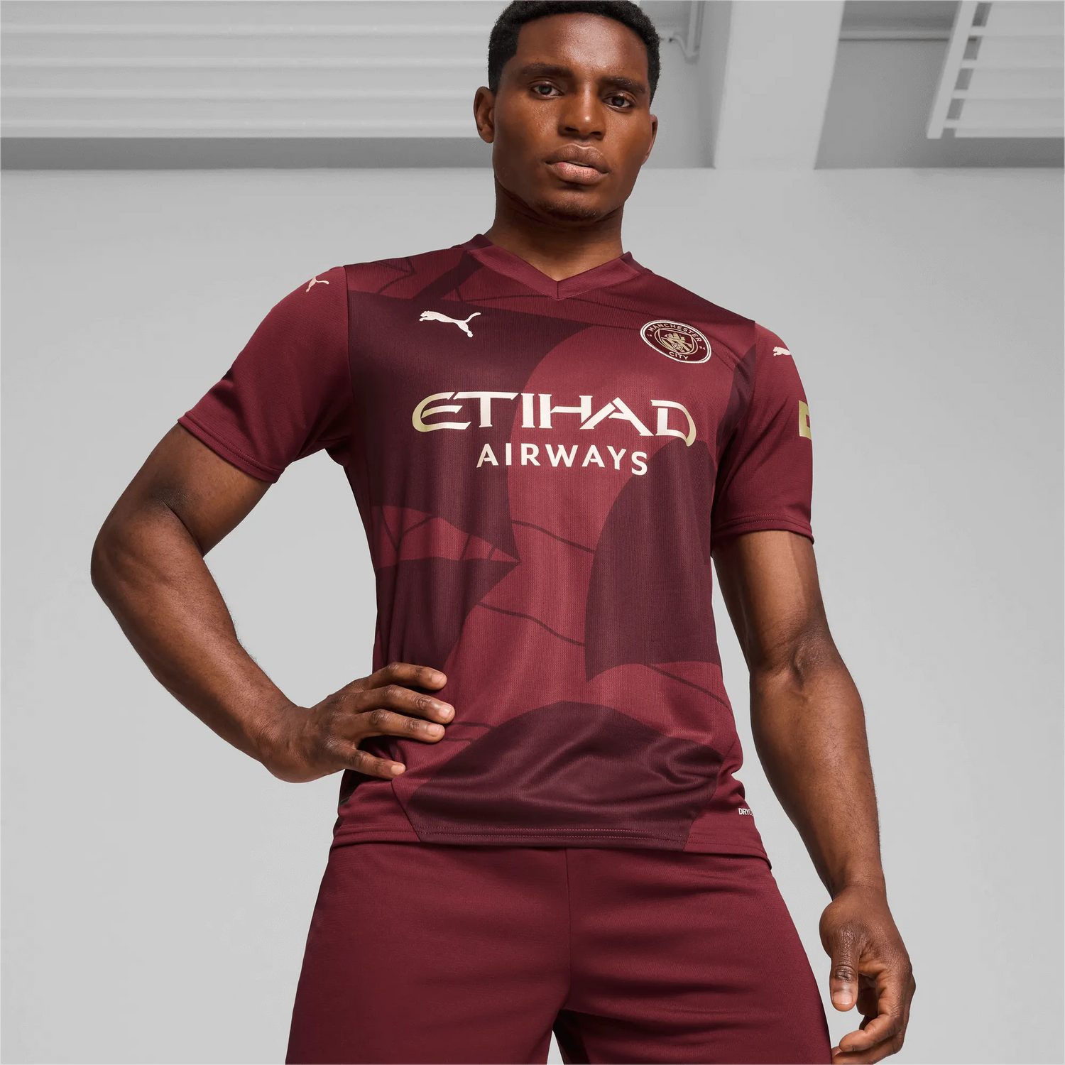 Puma 2024-25 Manchester City Men's Stadium Third Jersey (Model - Front)