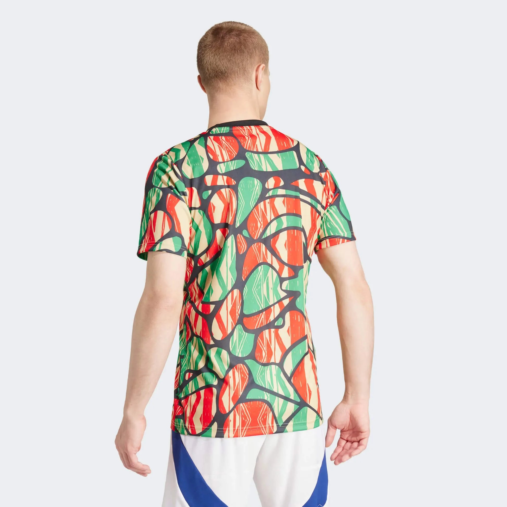 adidas 2024-25 Arsenal Men's Pre-Match Jersey (Model - Back)