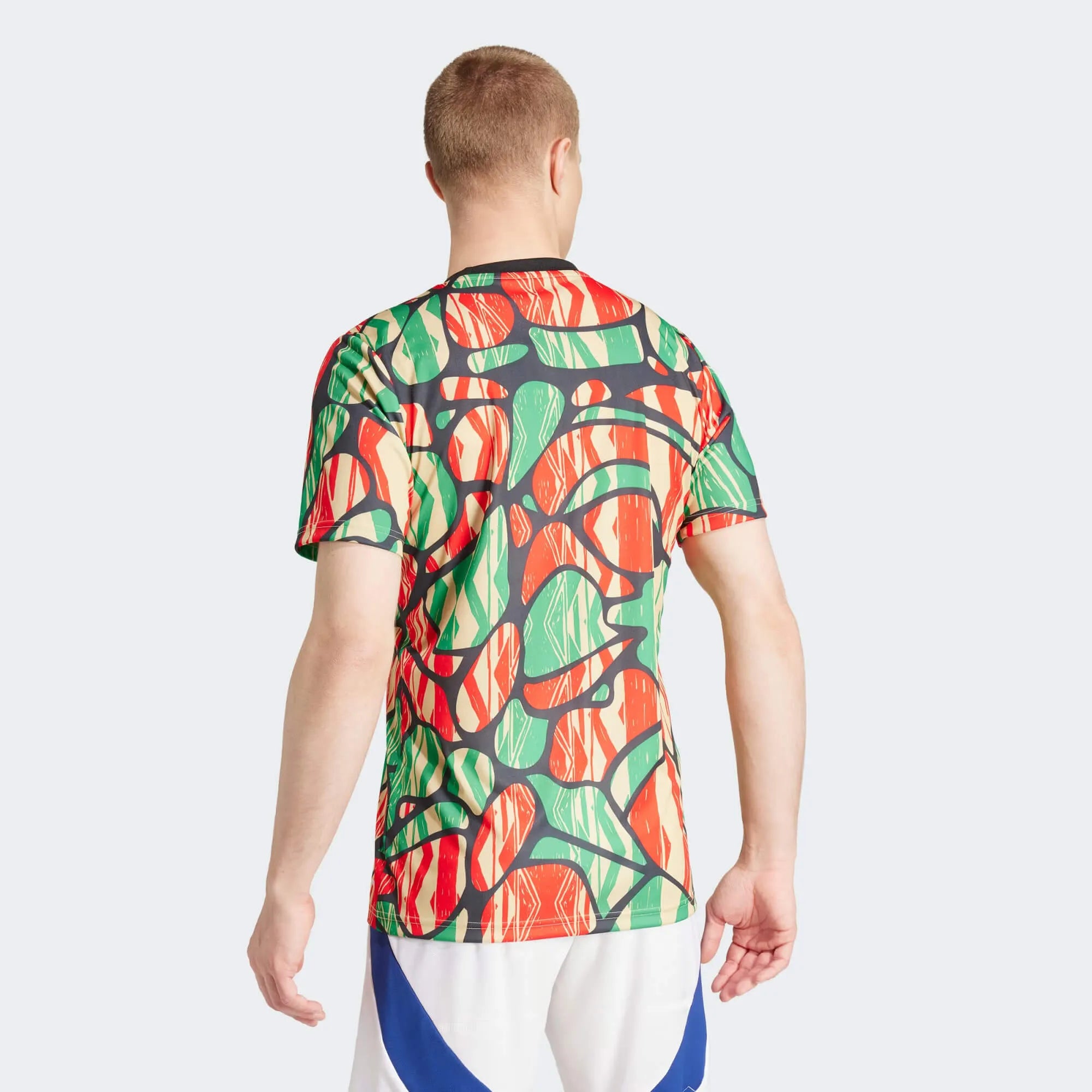 adidas 2024-25 Arsenal Men's Pre-Match Jersey (Model - Back)