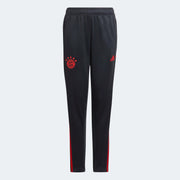 adidas 2022-23 Bayern Munich Youth Training Pants - Night Grey (Front)