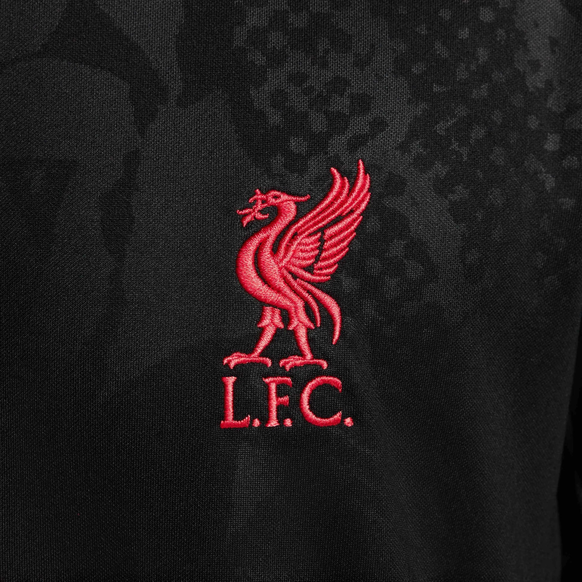 Nike 2024-25 Liverpool Men's Academy Third Strike Top (Detail 2)