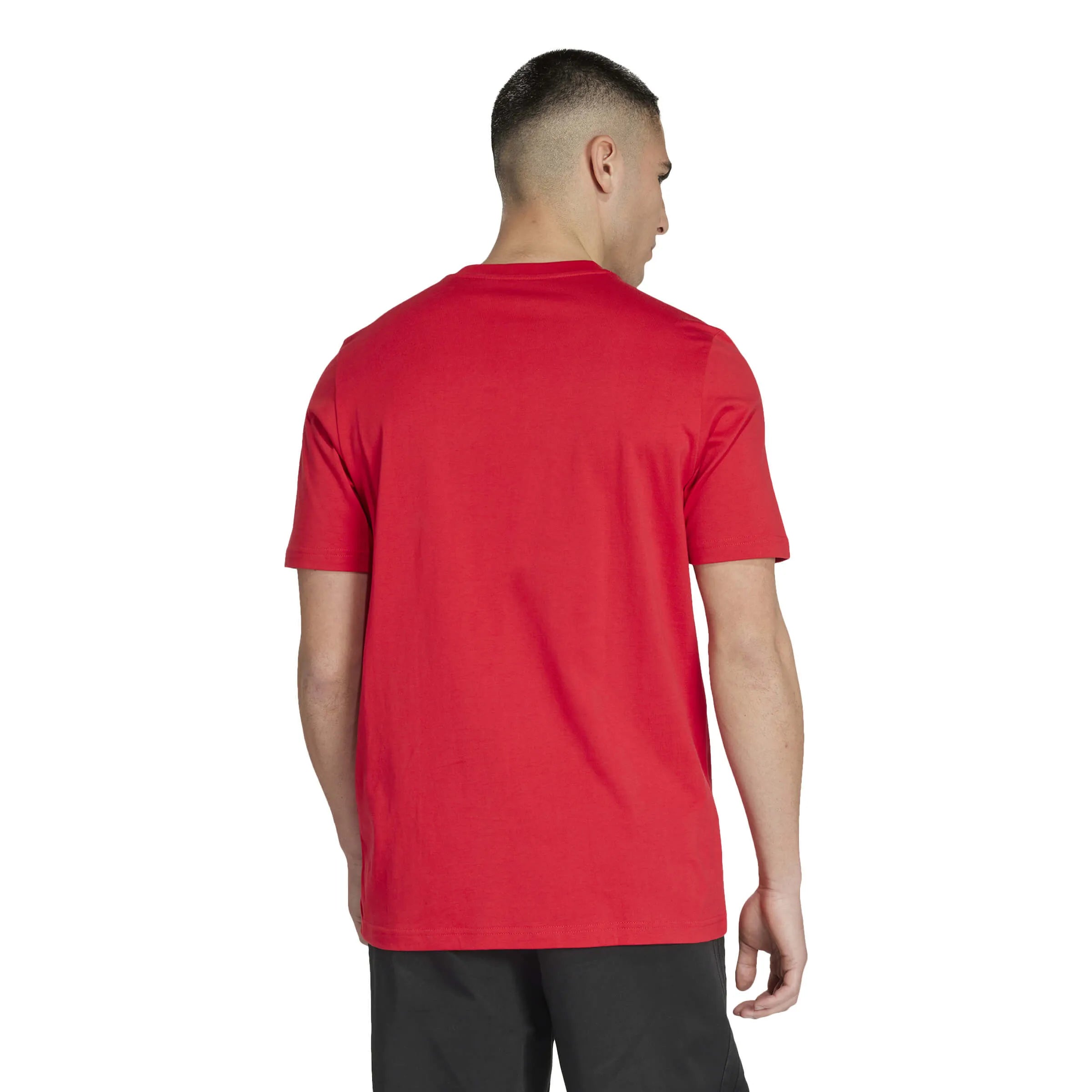 2adidas 2024-25 Manchester United Men's DNA Graphic Tee (Model - Back)