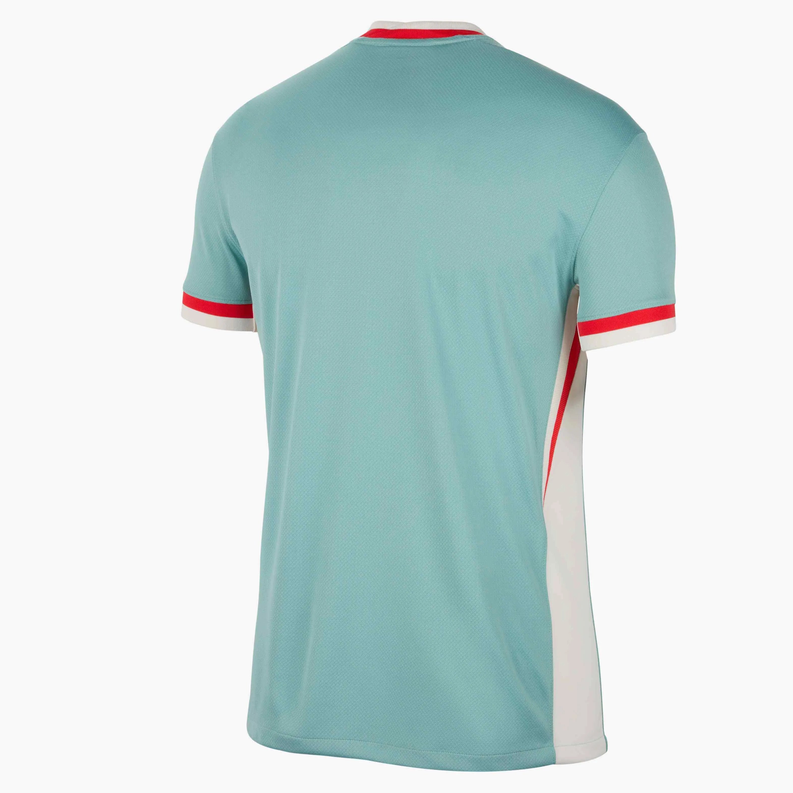 Nike 2024-25 Atletico Madrid Men's Stadium Away Jersey (Back)