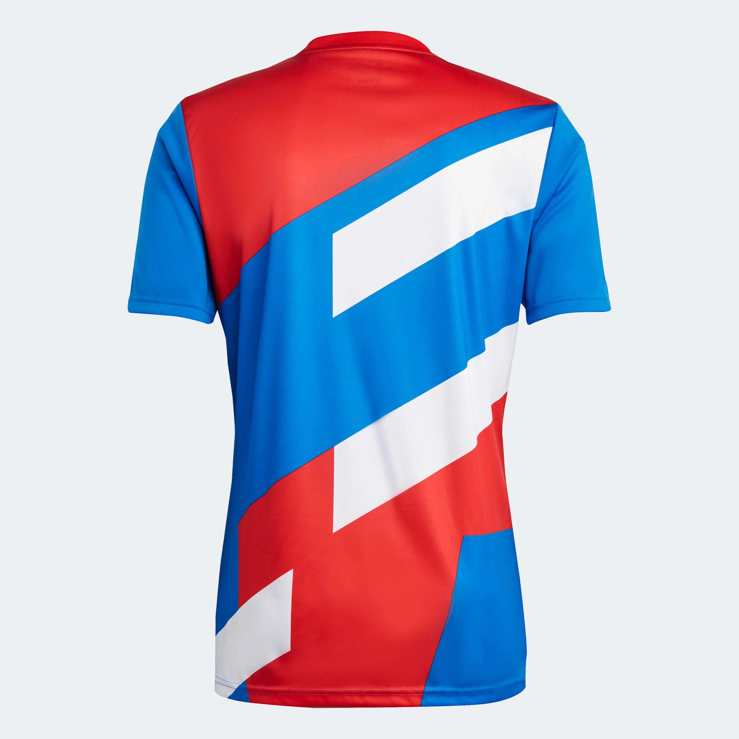 adidas 2023 FC Bayern Munich Pre-Match Jersey - Red-Bright Royal (Back)