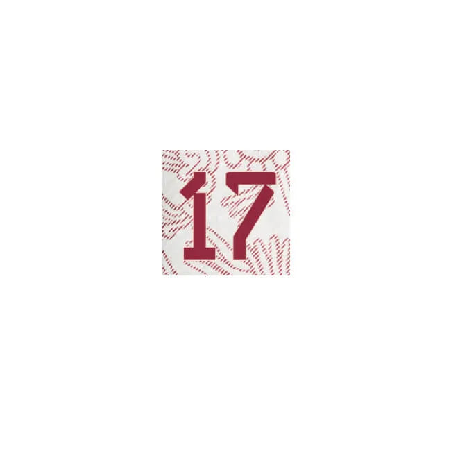 Mexico 2022-23 Away Pineda #17 Jersey Name Set (Front)