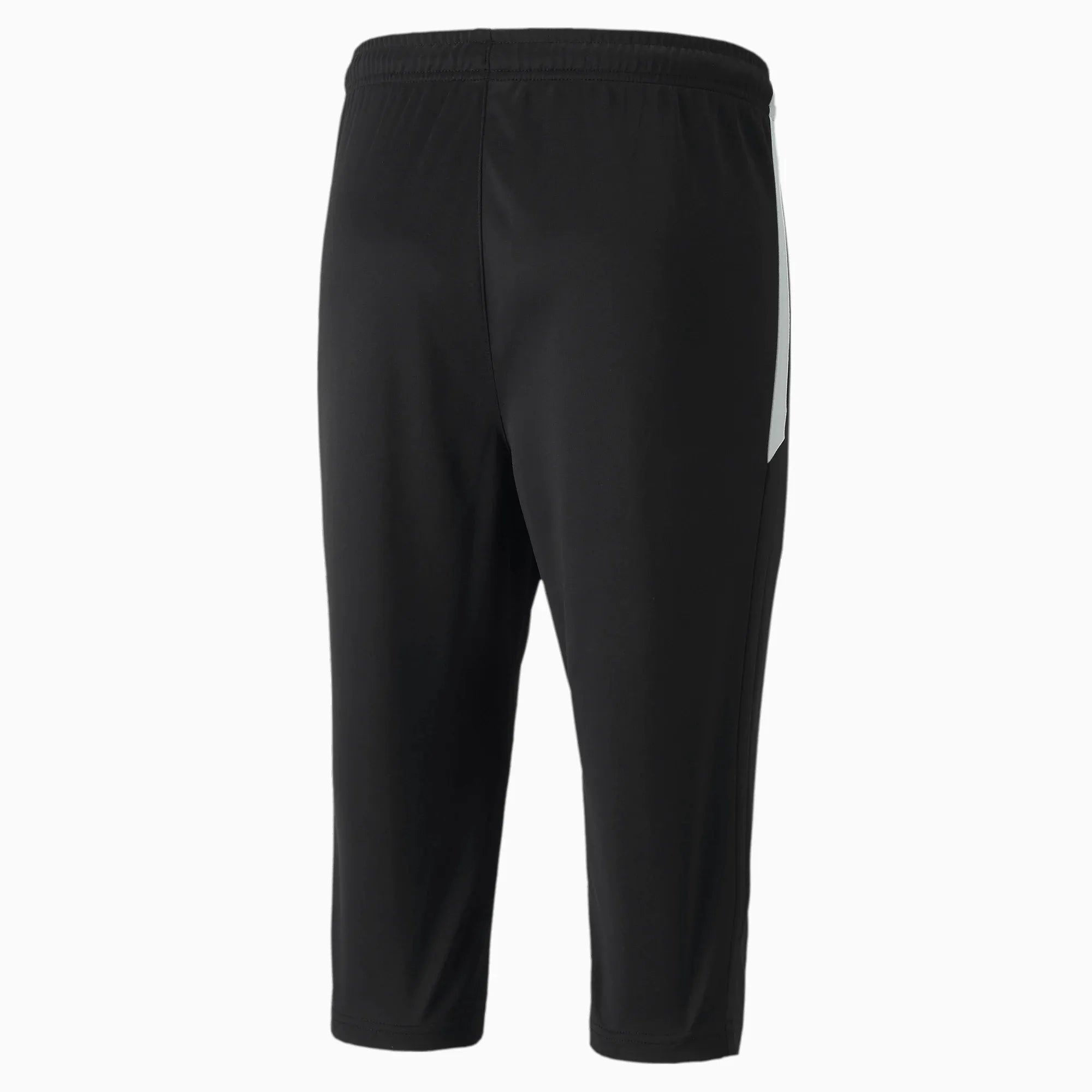 Puma TeamLiga Men's Training 3/4 Pants (Back)