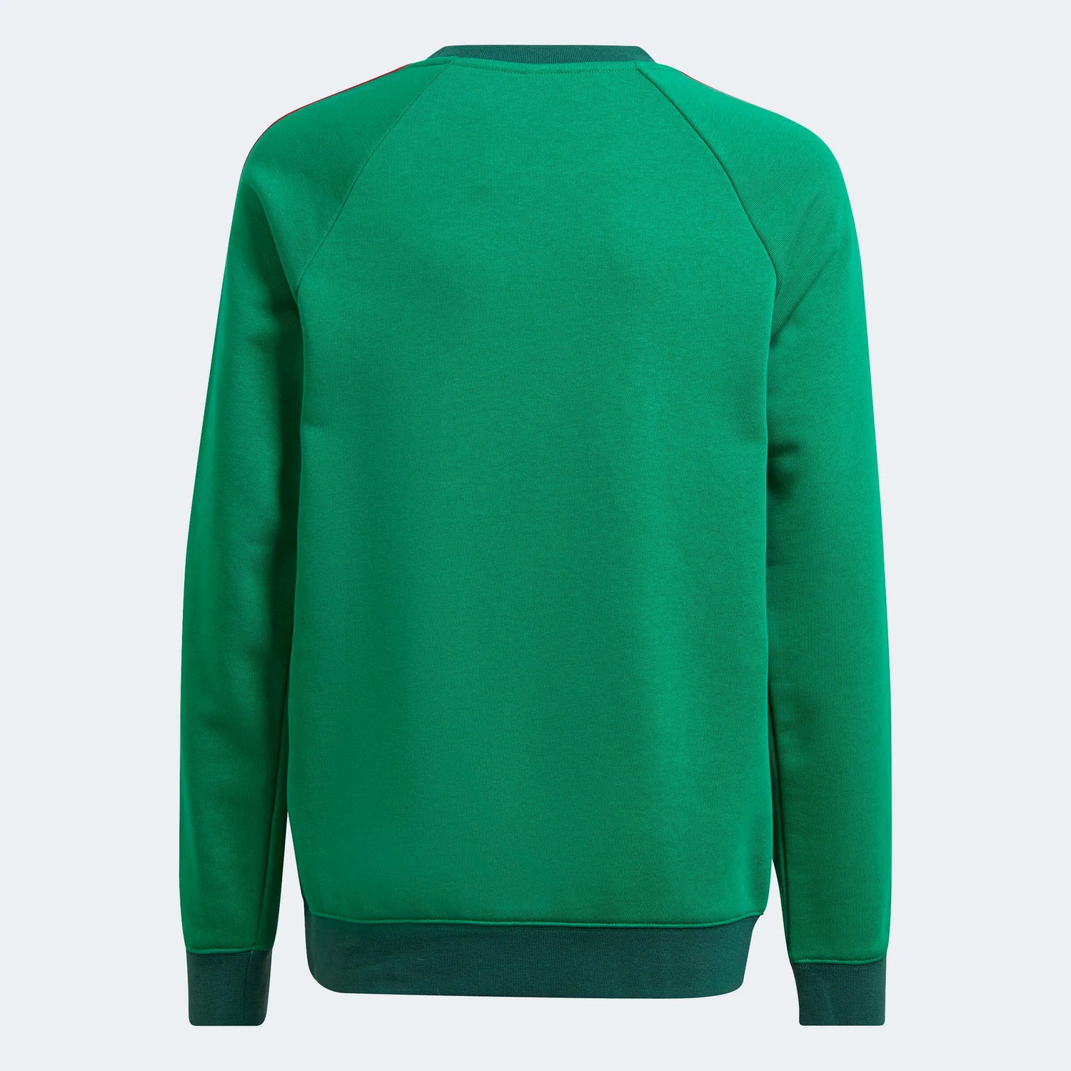 adidas 2022-23 Mexico Youth Crew Sweatshirt (Back)