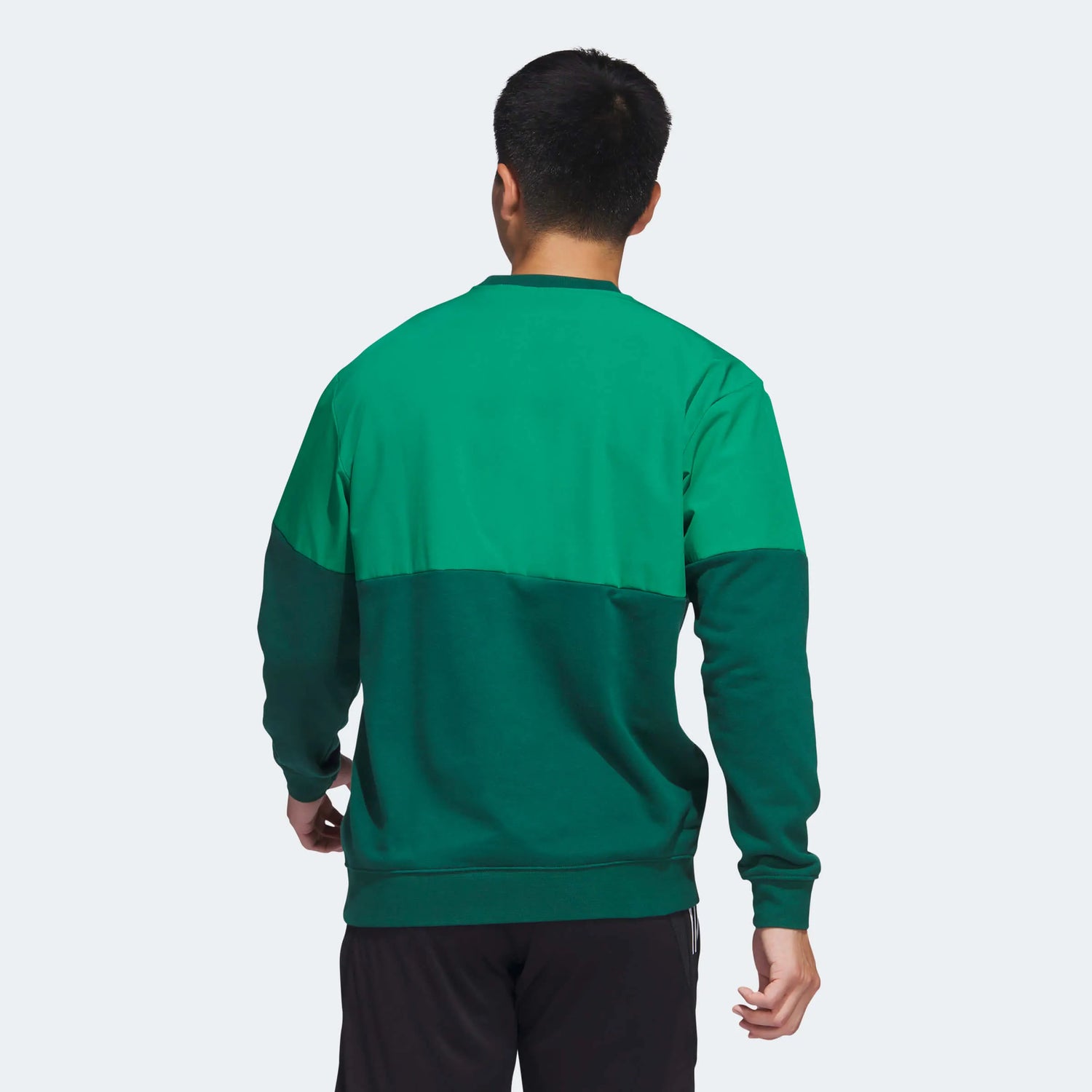 adidas 2022-23 Mexico Crew Sweatshirt - Green (Model - Back)
