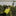 Storelli Gladiator Elite 3.0 with Spine Glove - Black-Yellow