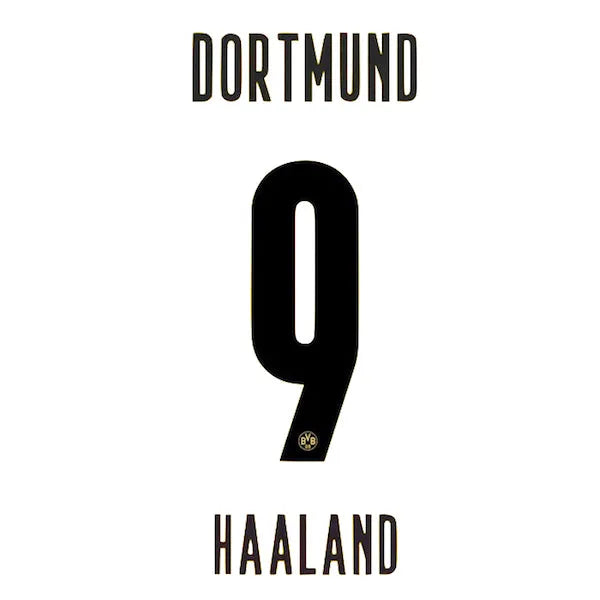 Borussia Dortmund 2020/21 Home Haaland #9 Jersey Name Set