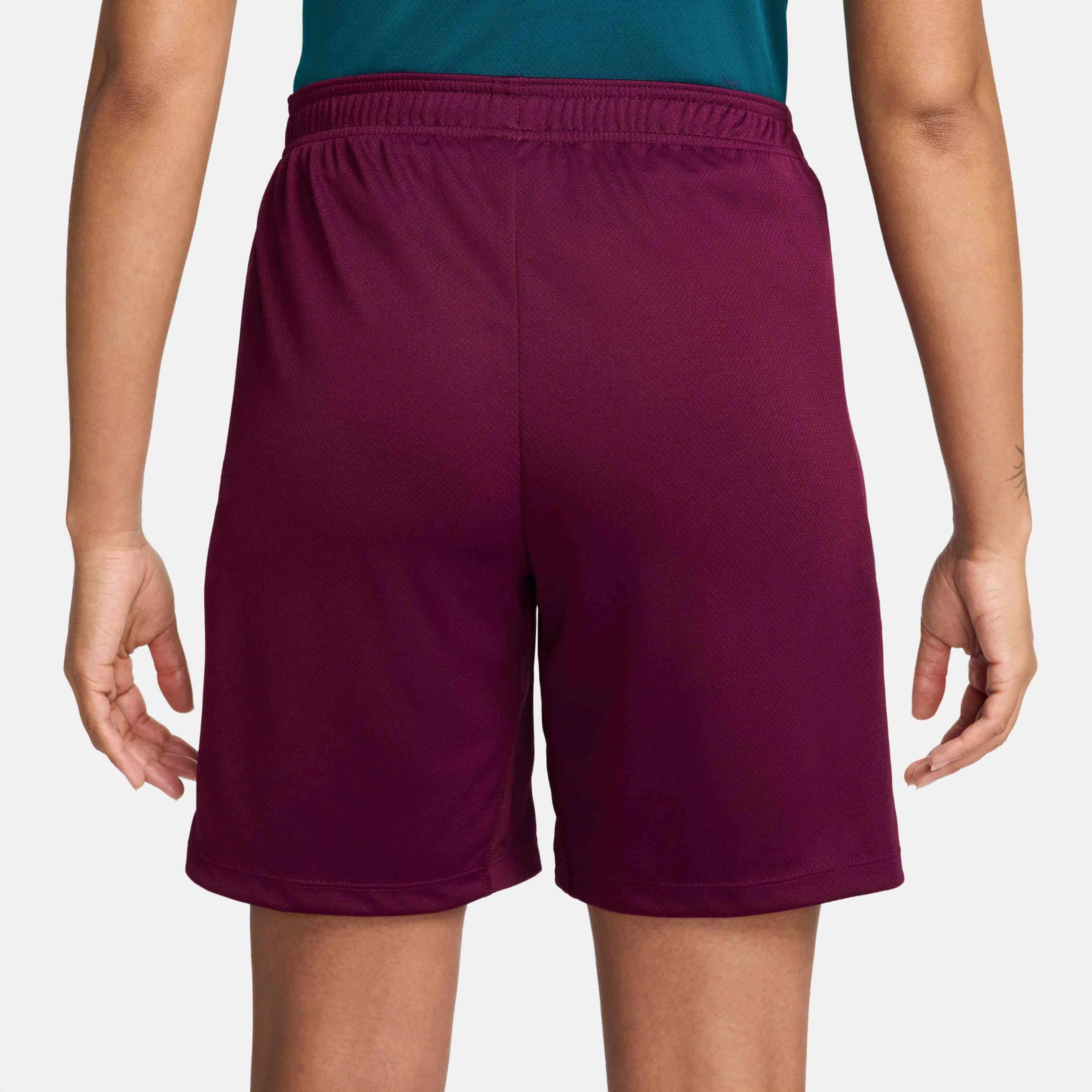 PSG 2024-25 Men's Strike Shorts (Back)