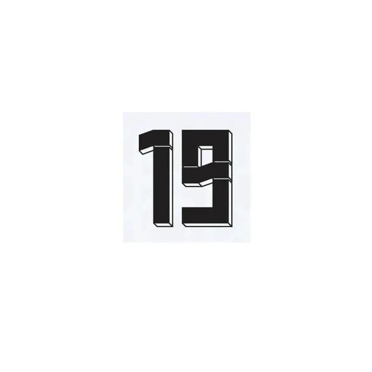 Germany 2024 25 Home Sane #19 Jersey Name Set (Front)