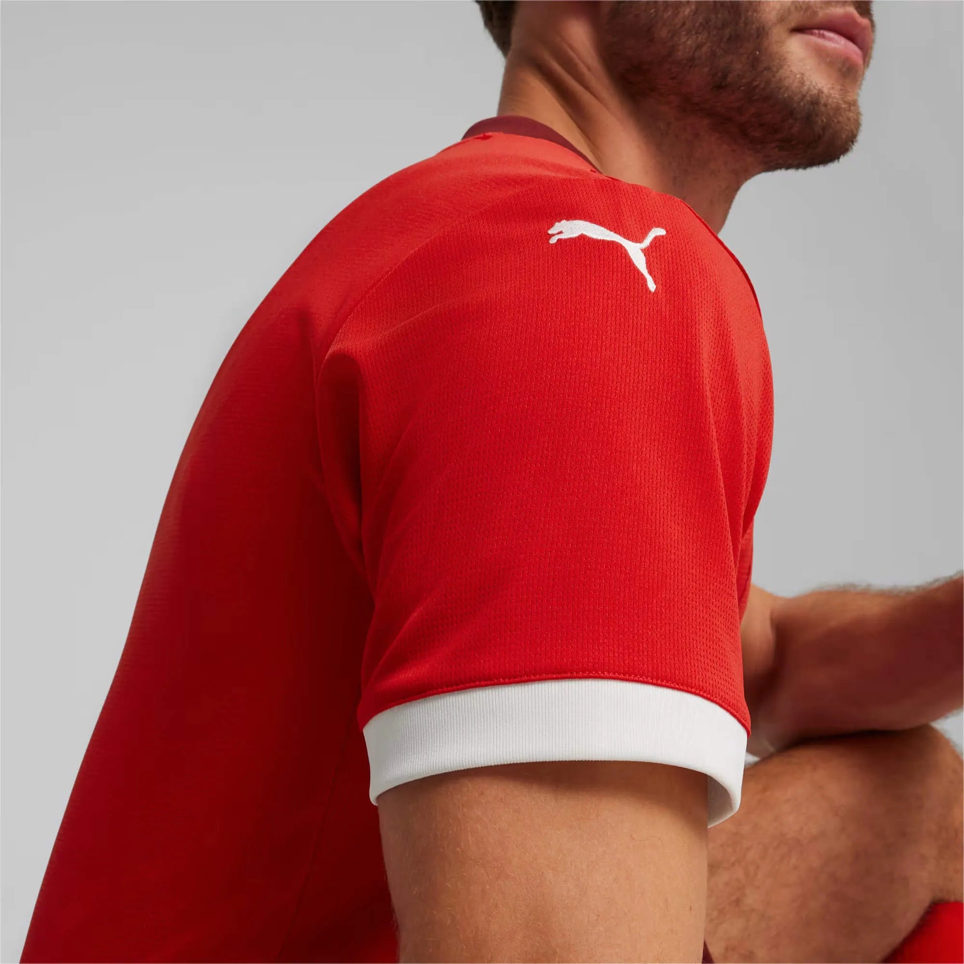 Puma 2024-25 Switzerland Stadium Home Jersey (Detail 2)