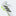 adidas Copa Pure.3 FG - Crazyrush Pack (FA23)