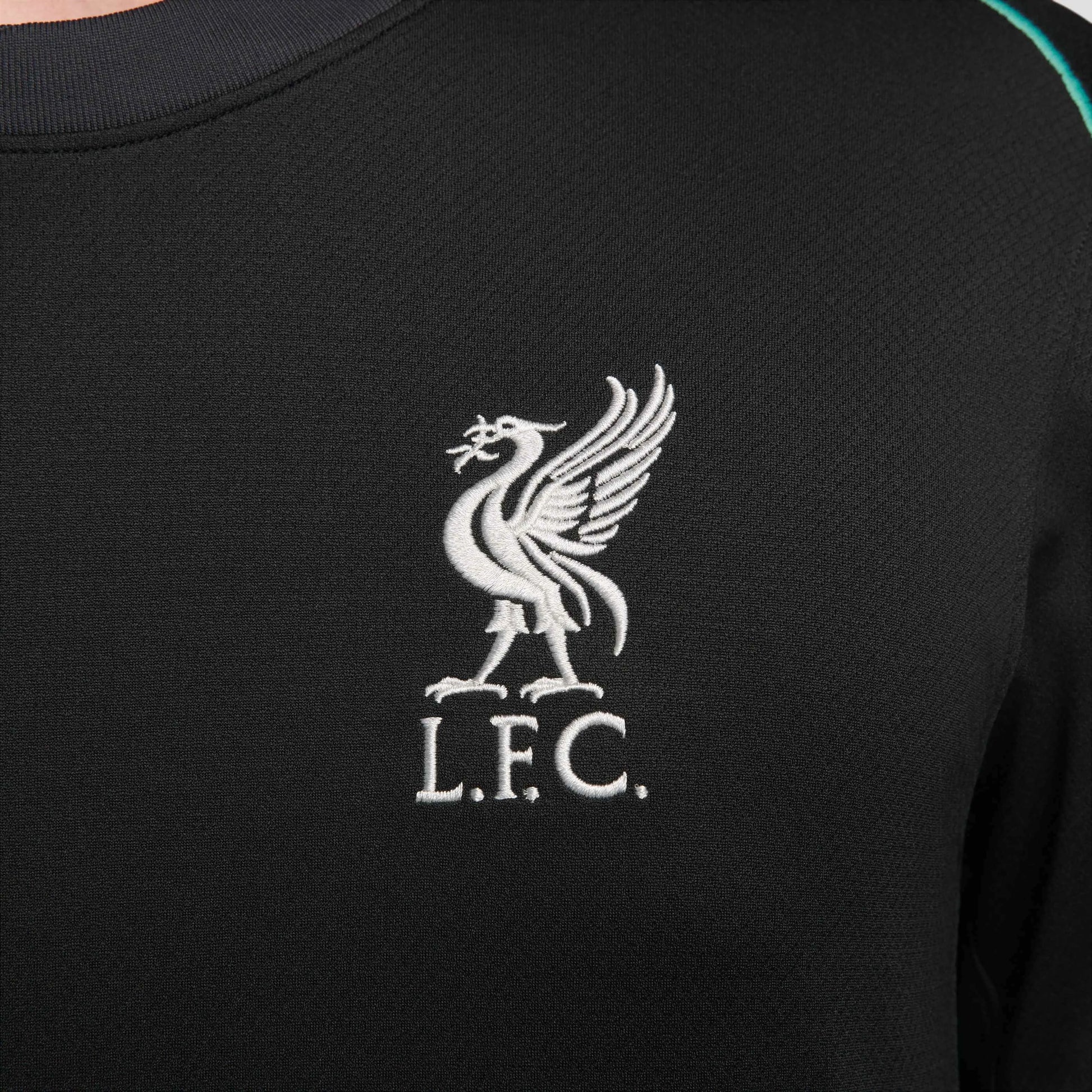 Nike 2024-25 Liverpool Men's Stadium Away Jersey (Detail 5)
