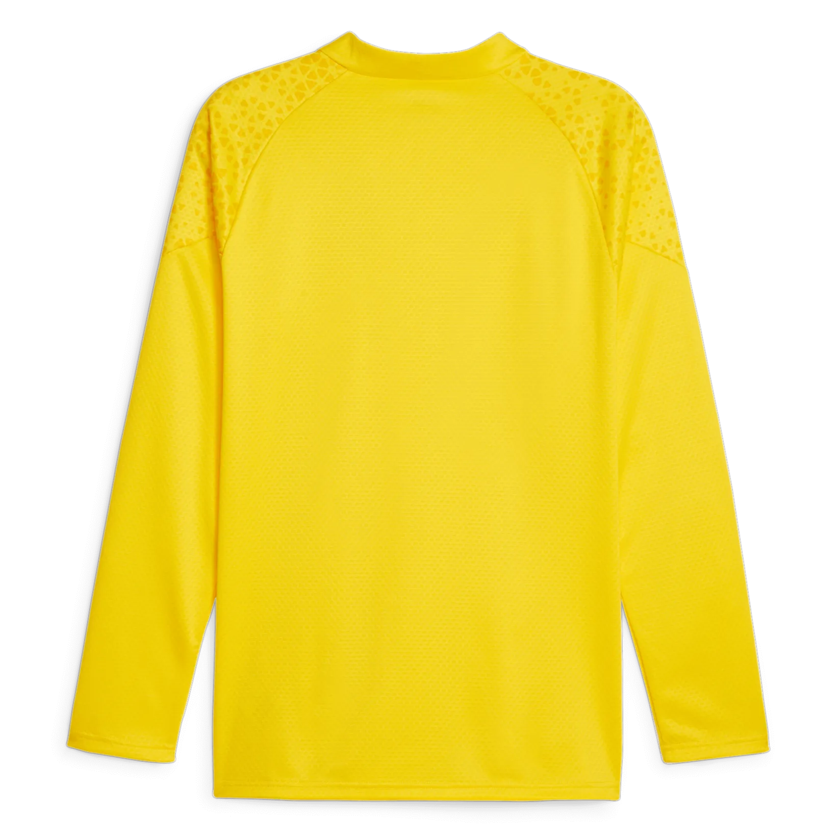 Puma 2023-24 Borussia Dortmund Men's Quarter-Zip YB Training Top (Back)