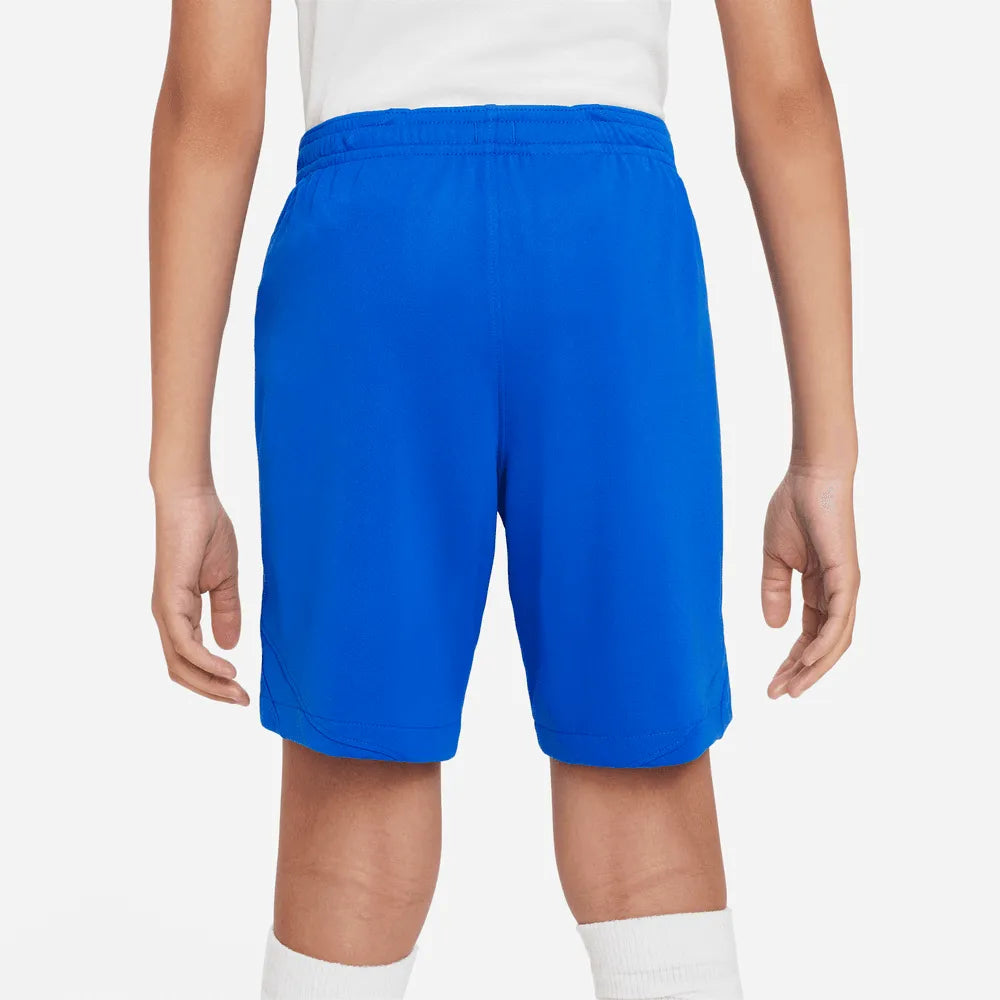 Nike 2023-24 Barcelona Youth Stadium Away Shorts (Back)