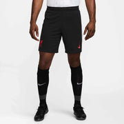 Nike 2024-25 Liverpool Men's Stadium Third Shorts (Model - Front)