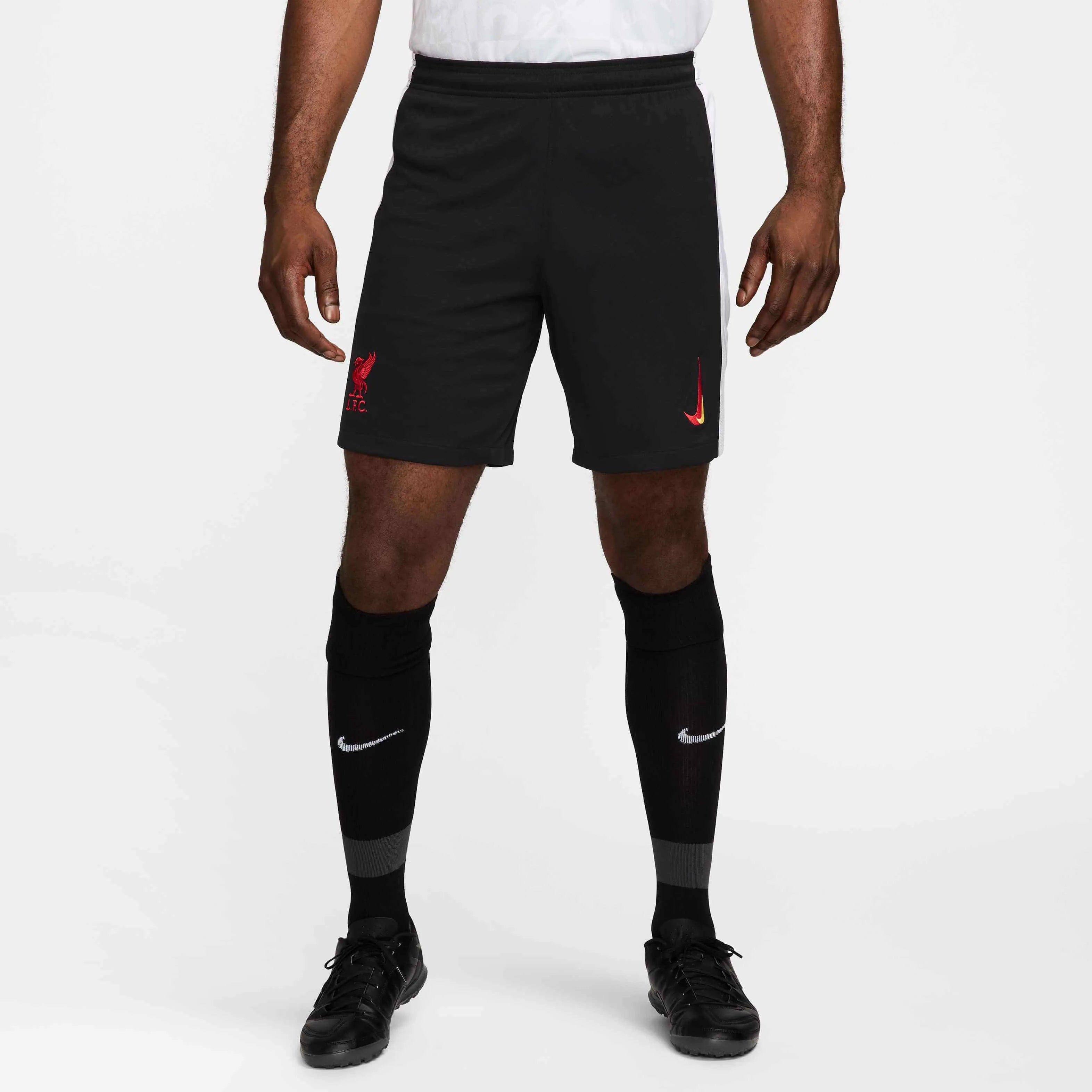 Nike 2024-25 Liverpool Men's Stadium Third Shorts (Model - Front)