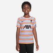 Nike 2021-22 Liverpool Youth DF Pre-Match Jersey - Wolf Grey (Model - Front)